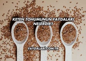 Keten Tohumunun Faydaları Nelerdir?