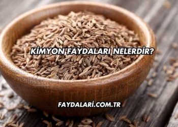 Kimyon Faydaları Nelerdir?