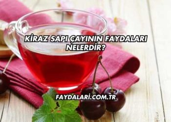 Kiraz Sapı Çayının Faydaları Nelerdir?