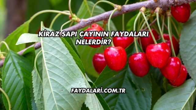 Kiraz Sapı Çayının Faydaları Nelerdir?