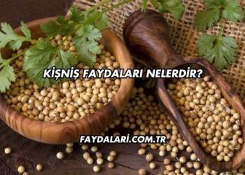 Kişniş Faydaları Nelerdir?