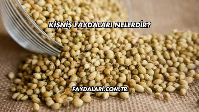 Kişniş Faydaları Nelerdir?