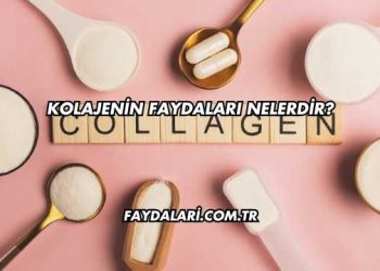 Kolajenin Faydaları Nelerdir?