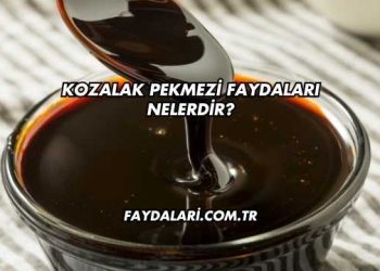 Kozalak Pekmezi Faydaları Nelerdir?