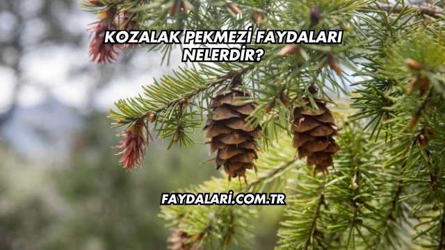 Kozalak Pekmezi Faydaları Nelerdir?