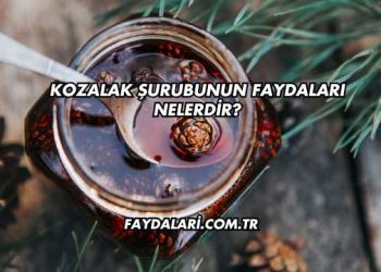 Kozalak Şurubunun Faydaları Nelerdir?