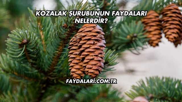 Kozalak Şurubunun Faydaları Nelerdir?