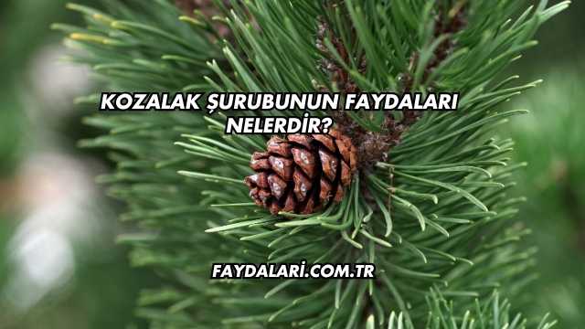 Kozalak Şurubunun Faydaları Nelerdir?