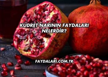 Kudret Narının Faydaları Nelerdir?
