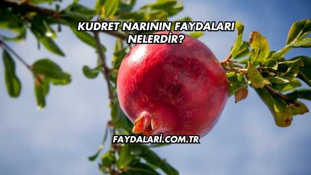 Kudret Narının Faydaları Nelerdir?