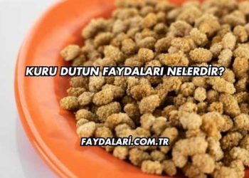 Kuru Dutun Faydaları Nelerdir?
