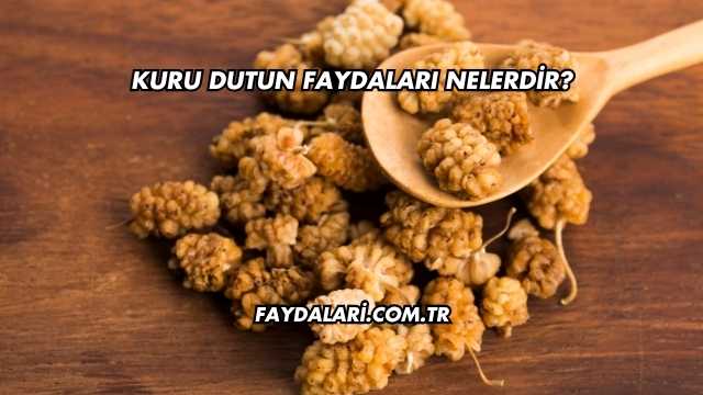 Kuru Dutun Faydaları Nelerdir?