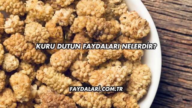 Kuru Dutun Faydaları Nelerdir?
