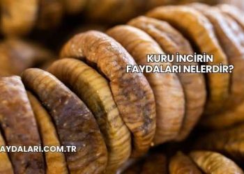 Kuru İncirin Faydaları Nelerdir?