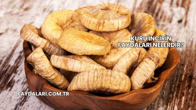Kuru İncirin Faydaları Nelerdir?