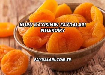 Kuru Kayısının Faydaları Nelerdir?