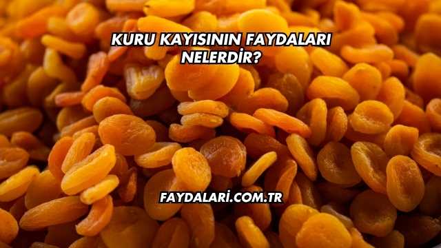 Kuru Kayısının Faydaları Nelerdir?