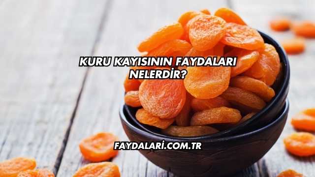 Kuru Kayısının Faydaları Nelerdir?