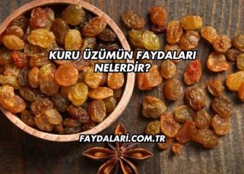 Kuru Üzümün Faydaları Nelerdir