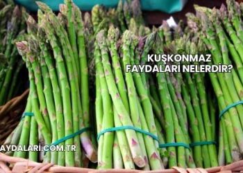 Kuşkonmaz Faydaları Nelerdir?