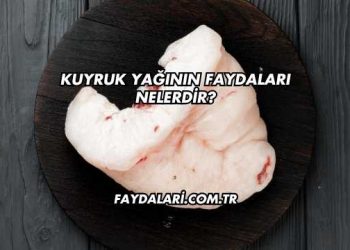 Kuyruk Yağının Faydaları Nelerdir?