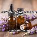 Lavanta Yağının Faydaları Nelerdir?