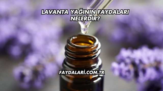 Lavanta Yağının Faydaları Nelerdir?