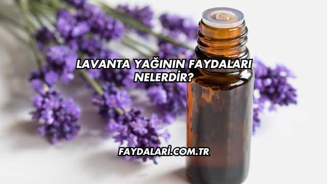 Lavanta Yağının Faydaları Nelerdir?