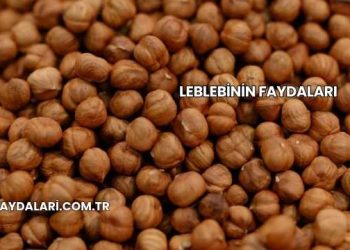 Leblebinin Faydaları