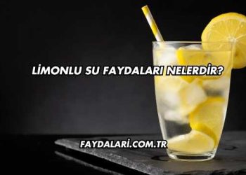 Limonlu Su Faydaları Nelerdir?