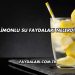 Limonlu Su Faydaları Nelerdir?