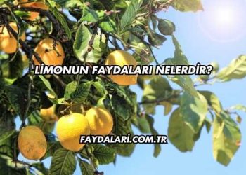 Limonun Faydaları Nelerdir?