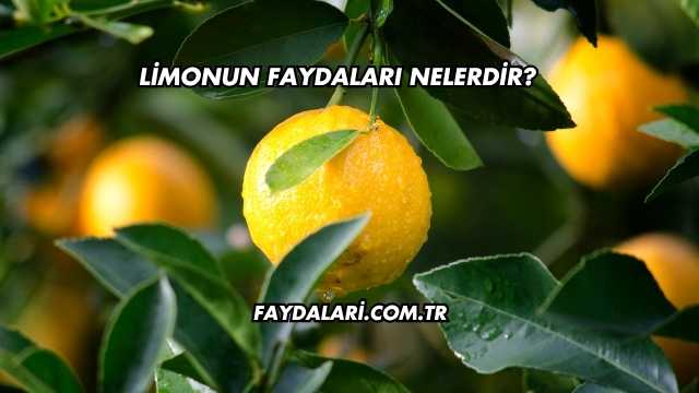 Limonun Faydaları Nelerdir?