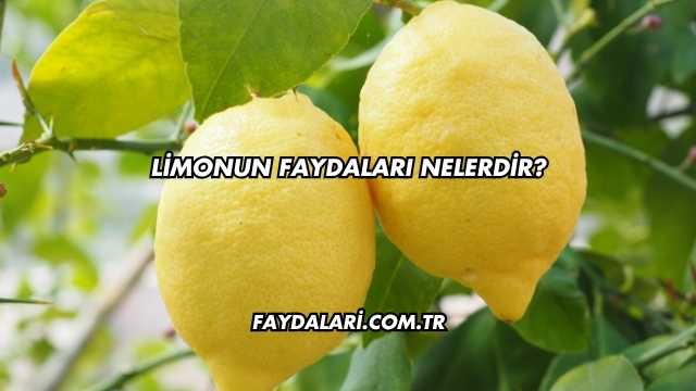 Limonun Faydaları Nelerdir?