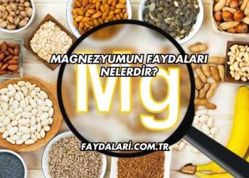 Magnezyumun Faydaları Nelerdir?