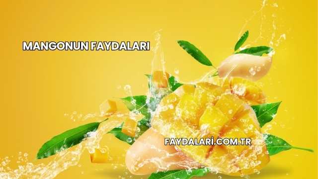 Mangonun Faydaları