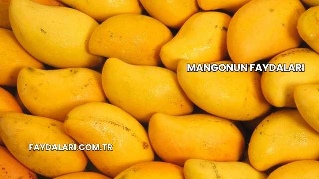 Mangonun Faydaları