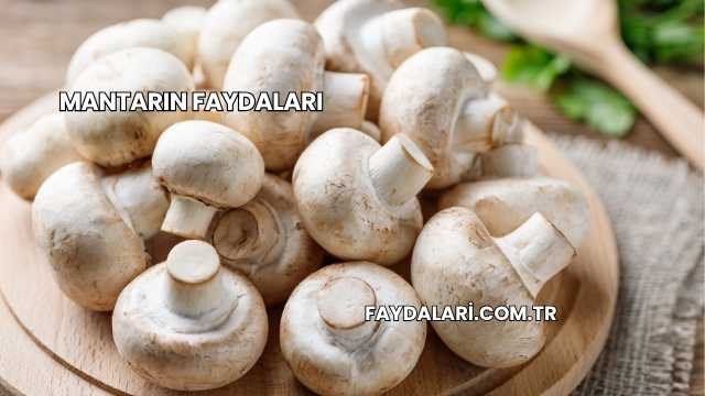 Mantarın Faydaları