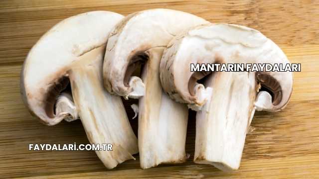 Mantarın Faydaları