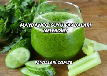 Maydanoz Suyu Faydaları Nelerdir?