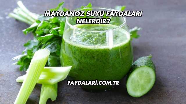 Maydanoz Suyu Faydaları Nelerdir?
