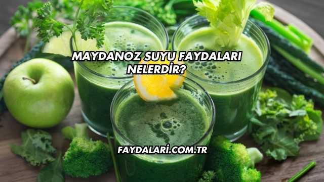 Maydanoz Suyu Faydaları Nelerdir?
