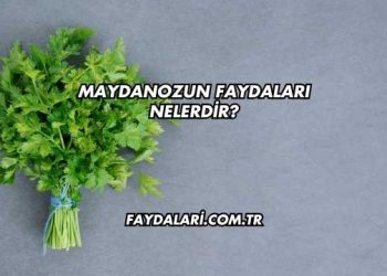 Maydanozun Faydaları Nelerdir?