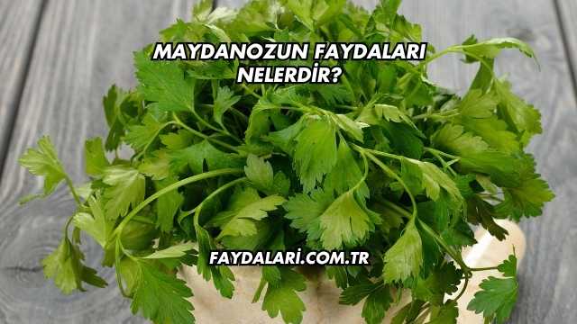Maydanozun Faydaları Nelerdir?