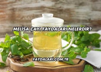 Melisa Çayı Faydaları Nelerdir?