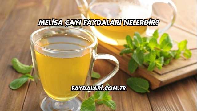 Melisa Çayı Faydaları Nelerdir?