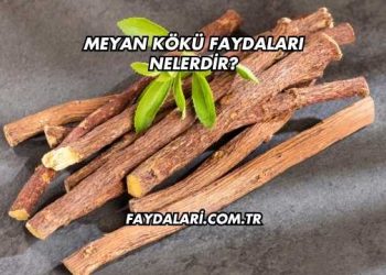 Meyan Kökü Faydaları Nelerdir?