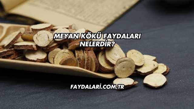Meyan Kökü Faydaları Nelerdir?