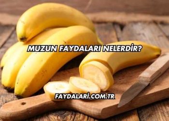 Muzun Faydaları Nelerdir?