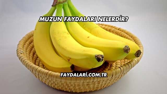 Muzun Faydaları Nelerdir?